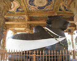 At the time, you enter the temple you are welcomed by a huge statue of Nandi that makes you feel blessed entering the temple complex.